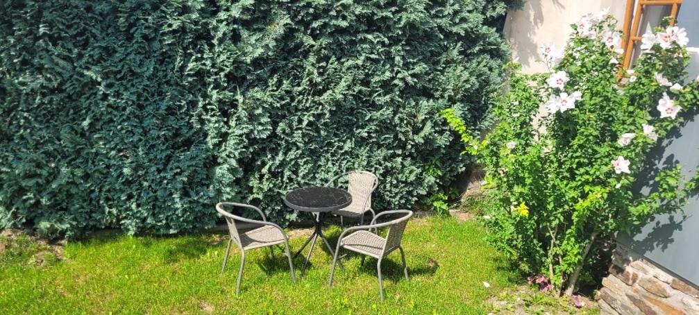Ferienwohnung Eg Frauenmarkt 1 Schneeberg  Bagian luar foto